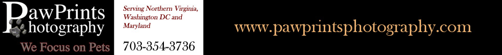 PawPrints Photography Blog logo